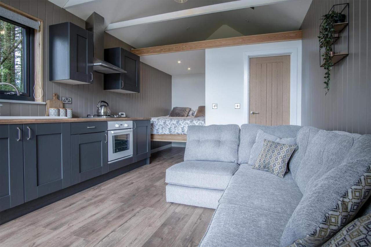 Cabin In The Woods - 1 Bedroom Lodge - Kilgetty Stepaside  Buitenkant foto