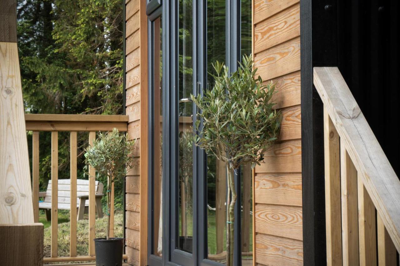 Cabin In The Woods - 1 Bedroom Lodge - Kilgetty Stepaside  Buitenkant foto
