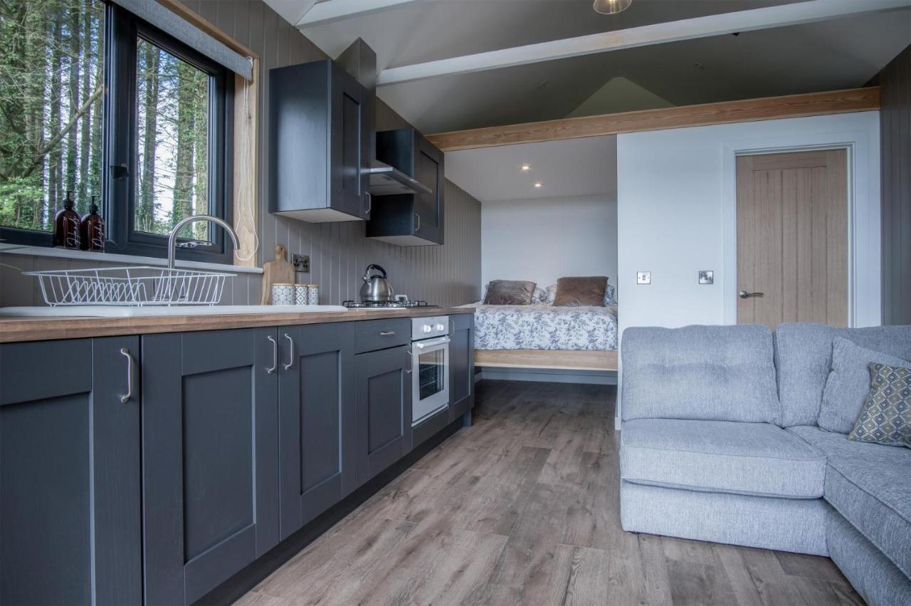 Cabin In The Woods - 1 Bedroom Lodge - Kilgetty Stepaside  Buitenkant foto